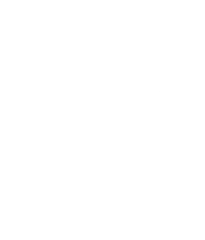 Pracsys Icon